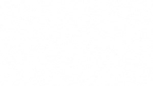 ls-488